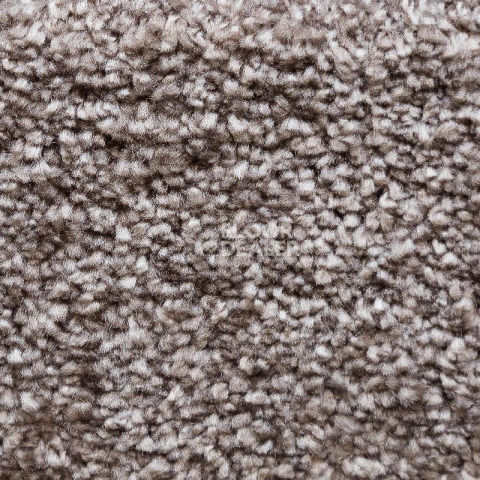 Ковролин AW Masquerade Costanza 49 фото 1 | FLOORDEALER